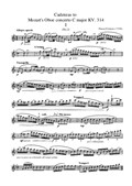 Cadenzas to Mozart Oboe Concerto KV. 314 First movement No.2
