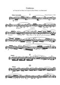 Cadenzas to Dittersdorf Oboe Concerto in G major by Karl Ditters von Dittersdorf
