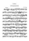 Cadenza to C.P.E.Bach Oboe Concerto B flat major