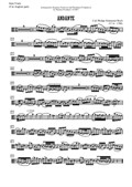 Andante for Solo Violin, Cor Anglais and String orchestra - Solo Viola part instead of Cor Anglais