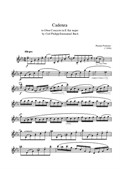 Cadenza to C.P.E. Bach Concerto for Oboe E flat major - First movement