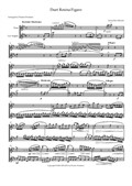 Duett Rosina Figaro from The Barber of Sevigla for Flute and Cor Anglais